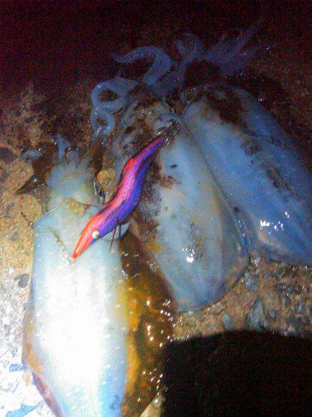 まあまあえーサイズ